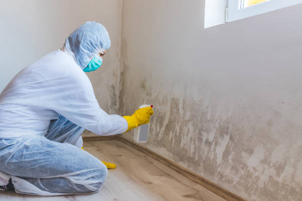 Hvac And Air Duct Mold Remediation inspection of HVAC system in Clarksburg