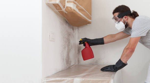 Attic Mold Remediation treatment on roof deck in Clarksburg
