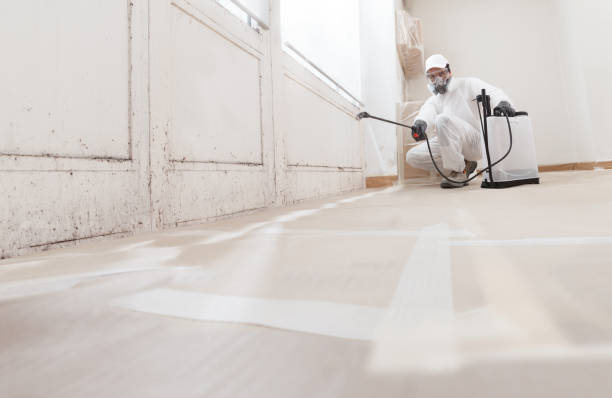 Black mold remediation team in Clarksburg
