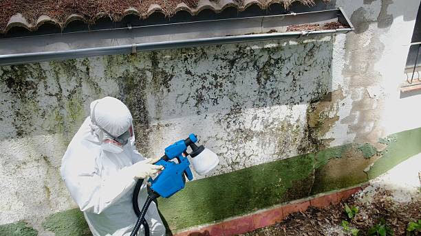 Mold Removal service in Clarksburg